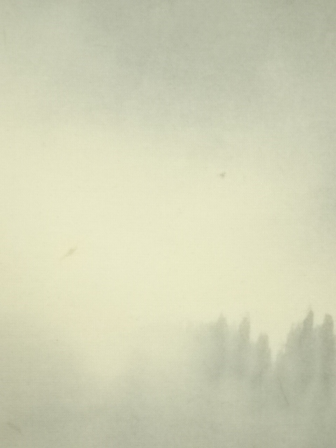 道具 ] - 道具 高橋華山筆 水墨山水 肉筆絹本掛軸（共箱） | ネット